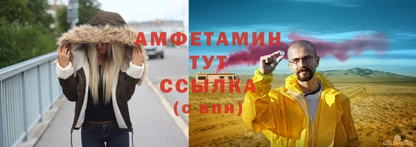 прущие грибы Бородино