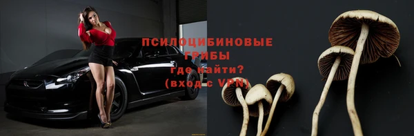 эйфоретик Михайлов