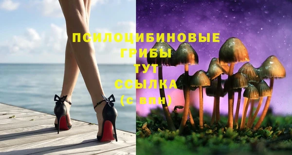 apvp Бугульма