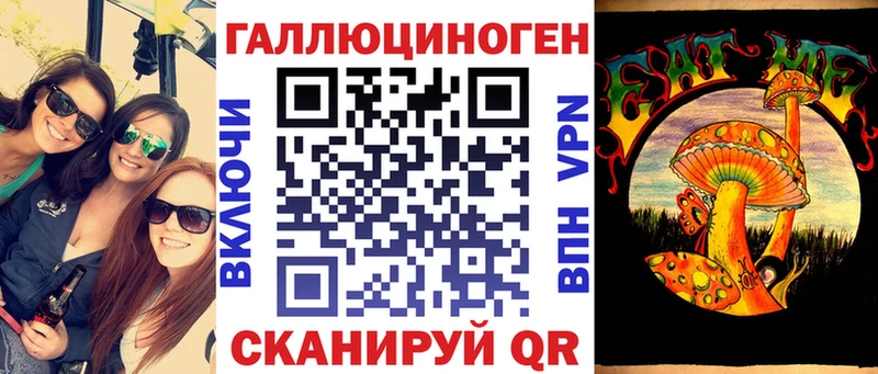 Псилоцибиновые грибы Psilocybine cubensis  Куртамыш 