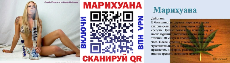 Марихуана сатива  Куртамыш 