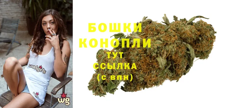 hydra ссылки  Куртамыш  Конопля Ganja 